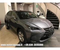 LEXUS NX 300h Hybrid 4WD Luxury - Immagine 2