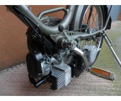 Ciclomotore Garelli 387 BABY Mosquito - Immagine 6