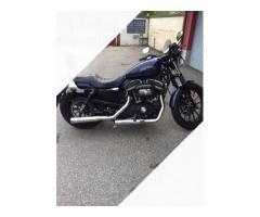 Harley-Davidson Sportster 883 - 2012 - Immagine 2