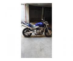 honda hornet 600 - Immagine 6