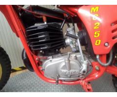 MAICO GS-MC 250 DA COLLEZIONE / www.actionbike.it - Immagine 3