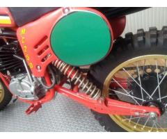 MAICO GS-MC 250 DA COLLEZIONE / www.actionbike.it - Immagine 5