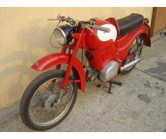 MOTO GUZZI Zigolo 98 Tel. 366-8985749 - Immagine 2