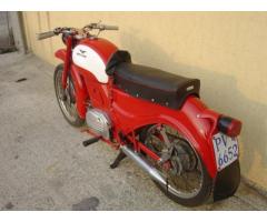 MOTO GUZZI Zigolo 98 Tel. 366-8985749 - Immagine 3