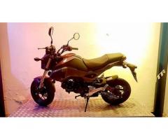 Honda MSX 125 - Km. 1, Euro 3650 - Immagine 1