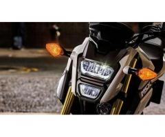 Honda MSX 125 - Km. 1, Euro 3650 - Immagine 2