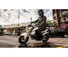 Honda MSX 125 - Km. 1, Euro 3650 - Immagine 4