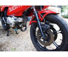 Ducati Pantah 500 Desmo, Perfetta, tagliandata - Immagine 5