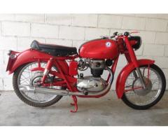 Moto Perugina 175 GT del 1953 Aermacchi MV Augusta Moto Guzzi - Immagine 2