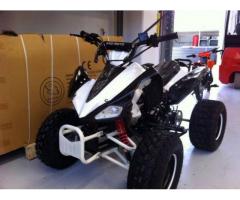 Quad 125cc 4 tempi ruote da 8' con retromarcia - Immagine 3