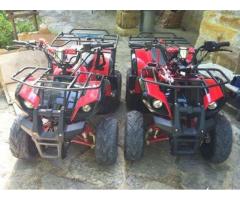 Quad 125cc ruote da 8' con retromarcia ragazzi o adulti fuoristrada - Immagine 2