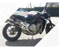 MV Agusta Brutale 1078 - 2008 - Immagine 2