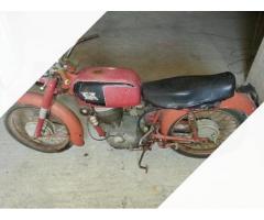 Moto Morini tresette - Anni 60 - Immagine 1