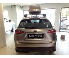 Lexus NX NX Hybrid Executive 2WD - Immagine 2