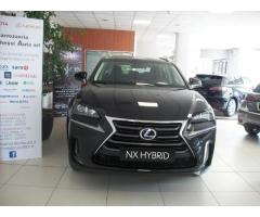 Lexus NX NX Hybrid - Immagine 1