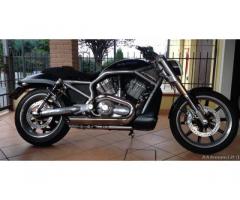 Harley Davidson - Immagine 1