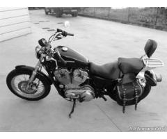 Harley Davidson Sportster 883 - Immagine 2