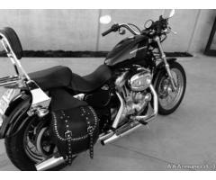 Harley Davidson Sportster 883 - Immagine 3