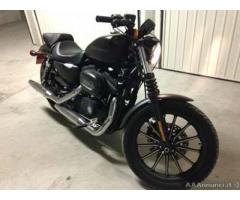 Harley-Davidson Sportster 883 Iron - Immagine 2