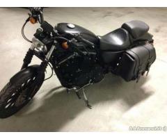 Harley-Davidson Sportster 883 Iron - Immagine 3