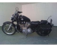Harley Davidson 883 - Immagine 2
