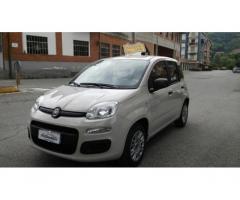 FIAT Panda 1.2 Easy OK NEOPATENTATI 5 POSTI - Immagine 1