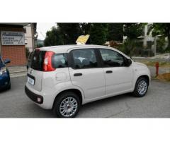 FIAT Panda 1.2 Easy OK NEOPATENTATI 5 POSTI - Immagine 3