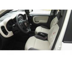 FIAT Panda 1.2 Easy OK NEOPATENTATI 5 POSTI - Immagine 5