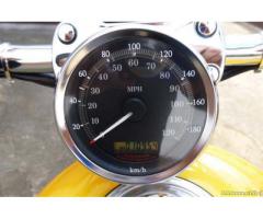 Harley-Davidson Sportster 1200C - Immagine 2