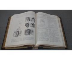 Encyclopedie medico= chirurgicale - Immagine 4