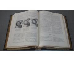 Encyclopedie medico= chirurgicale - Immagine 5