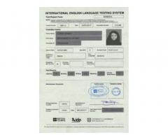 Certificati IELTS - Immagine 2