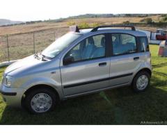 Fiat Panda 1.3 Multijet unico proprietario - 2005 - Immagine 2