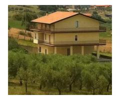 Villa con 3 piani e piantagione di olive