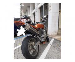Honda CBF 600 - 2006 - Immagine 2