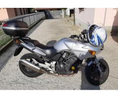 Cbf 600 2005 33k km - Immagine 1