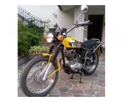 Ducati 450 Scrambler - 1971 - Immagine 1