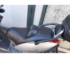 Kymco Grand Dink 250 - 2004 - Immagine 3
