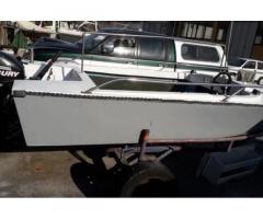Barca 4,5 metri con carrello in acciaio - Immagine 1