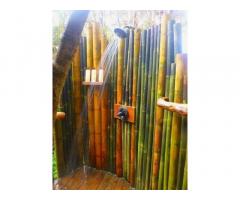 Vendo canne di bambù bambu con diametro da 1 cm. fino a 10 cm. - Immagine 7