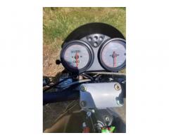 Ducati monster 600 - Immagine 2