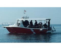 Barcaa motore professionale diving - Immagine 1