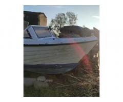 Barca a motore - Immagine 1