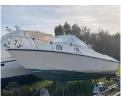 Barca Gobbi mt 7 motore yamaha 150cv - Immagine 1