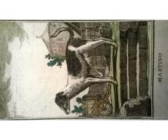 5 litografie originali del 700 - Venezia - Immagine 1