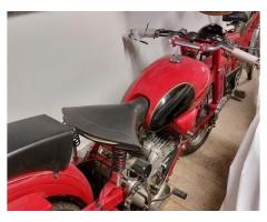 Moto Guzzi Falcone - 1952 - Immagine 2