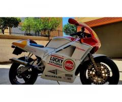 Cagiva mito lucky explorer - Immagine 2