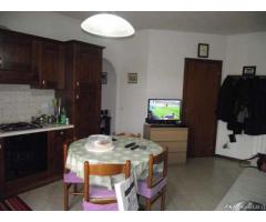 Appartamento in Affitto - CASTELLINA SCALO - Siena - Immagine 3