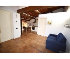 Appartamento in Affitto a 550€ - Lucca - Immagine 1