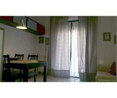 Appartamento in Affitto 50mq - Arezzo - Immagine 1